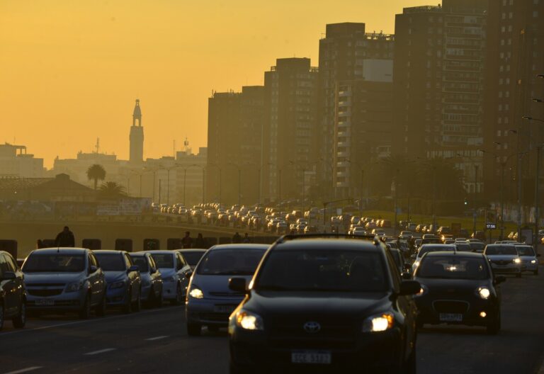 IMM abrió llamado para prestar servicio de transporte de pasajeros: sepa cuáles son los requisitos